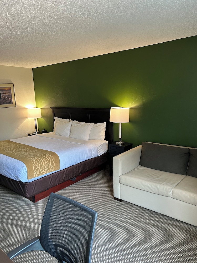 Boarders Inn & Suites by Cobblestone Hotels Munising - photo 8