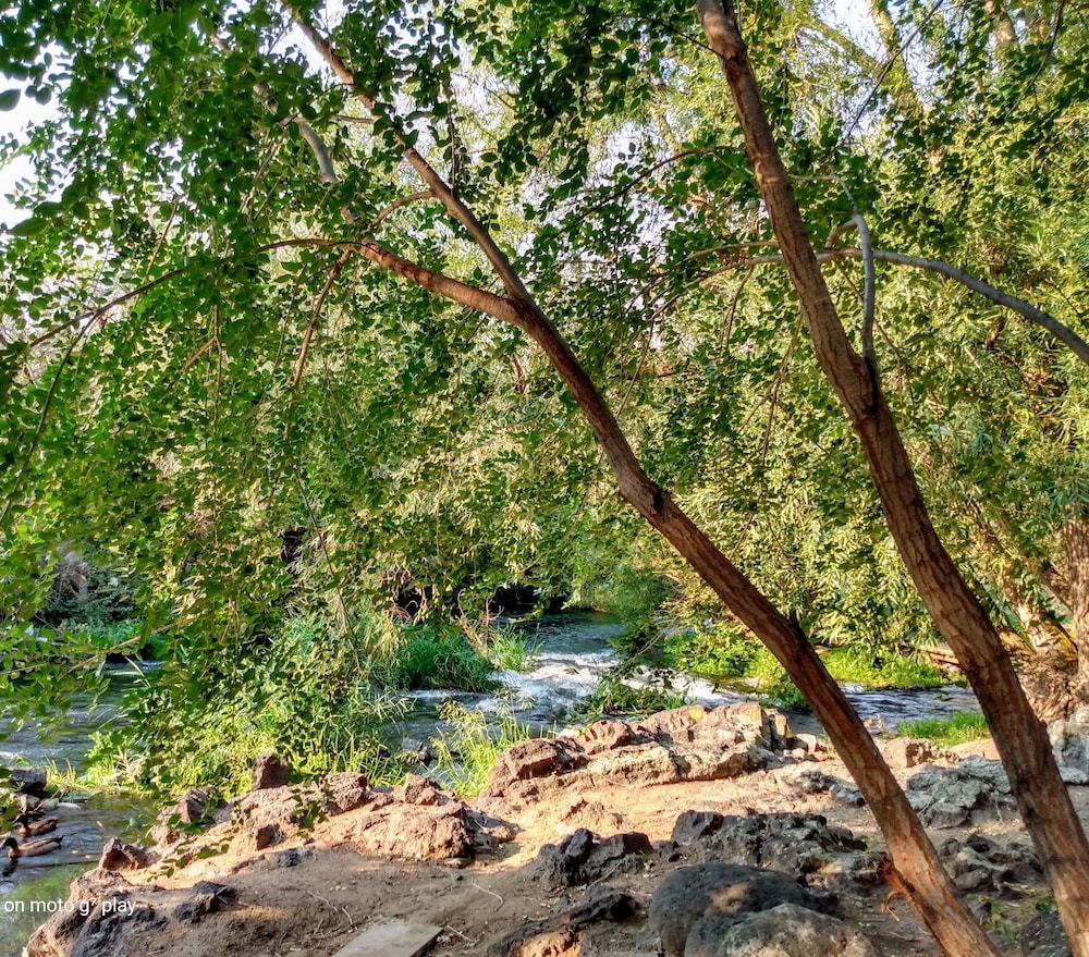 Billingsley Creek - photo 84