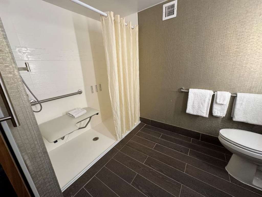Skyline Hotel Detroit Airport SureStay Collection by BW - photo 27