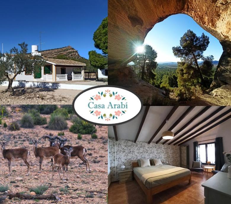 Casaarabi in Yecla, Spain