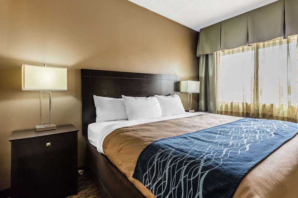 Comfort Inn & Suites Crystal Inn Sportsplex - photo 10