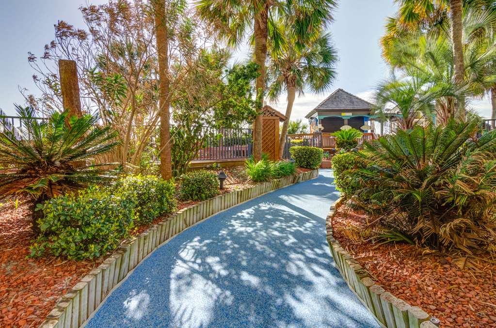 Beach Cove Resort - photo 36