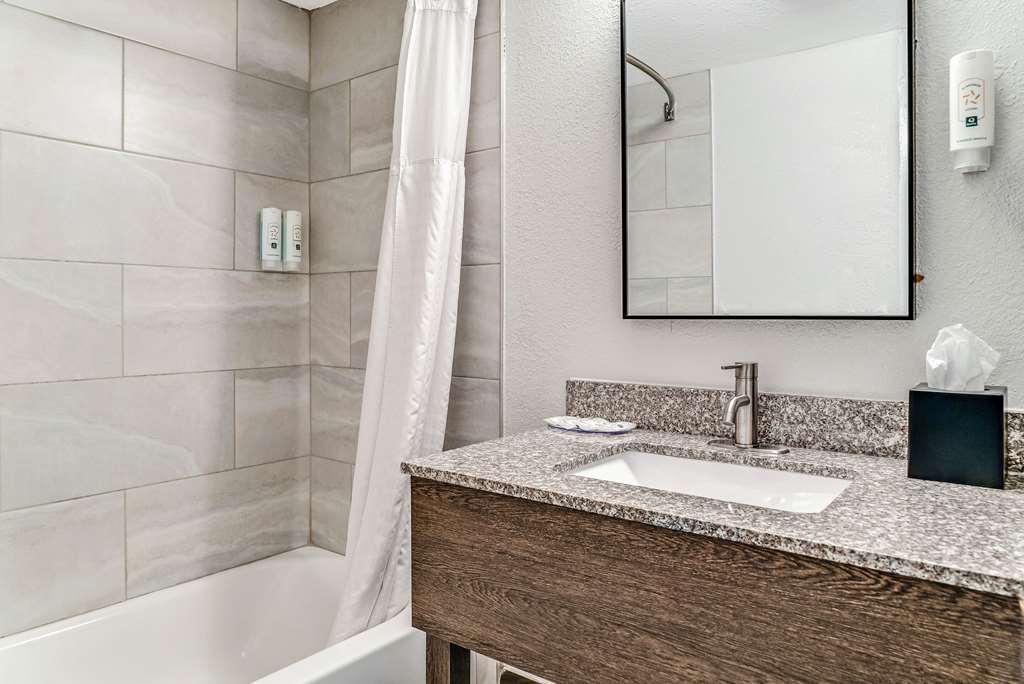 Quality Inn Detroit Downtown - photo 24