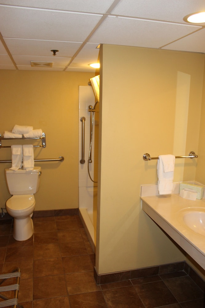 Lamplighter Inn & Suites South - photo 33