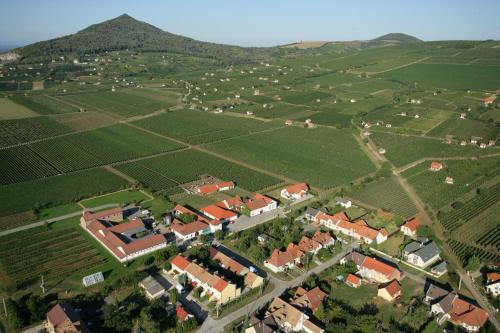 Tiffán's Pincészet és Panzió — hotel in Villany