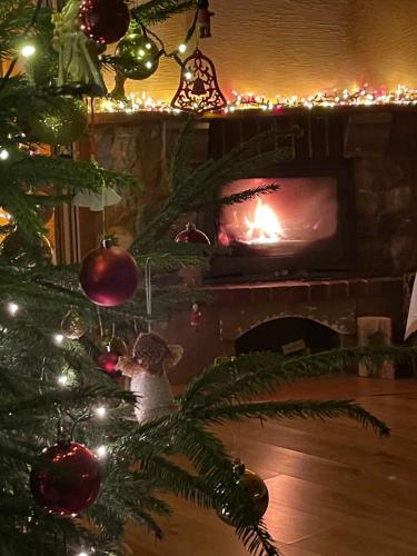 Gintaro sodyba in Lazdijai, Lithuania