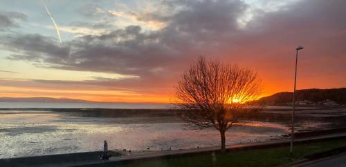 Oyster Cottage — 4-Star Luxury Hotel in Swansea, United Kingdom