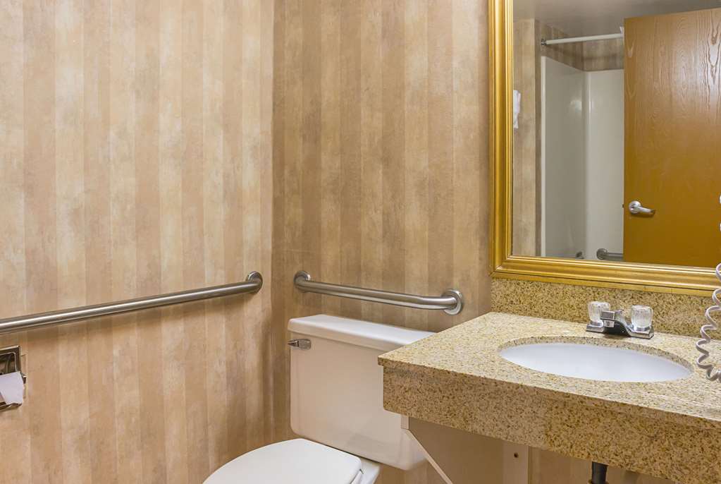 Quality Inn & Suites Detroit Metro Airport - photo 23