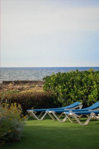 S’embat — Arta — photo 2