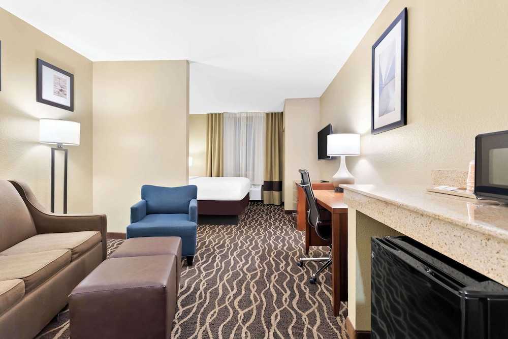 Comfort Suites Tampa Airport North - photo 18