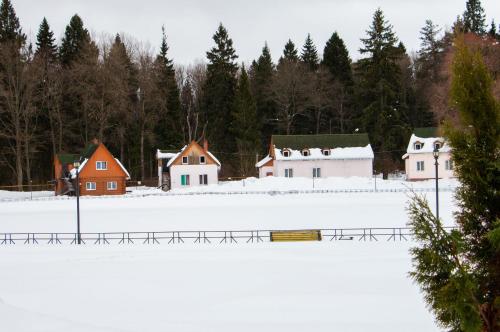 Lesnaya Skazka Hotel — hotel in Pereslavl'-Zalesskiy