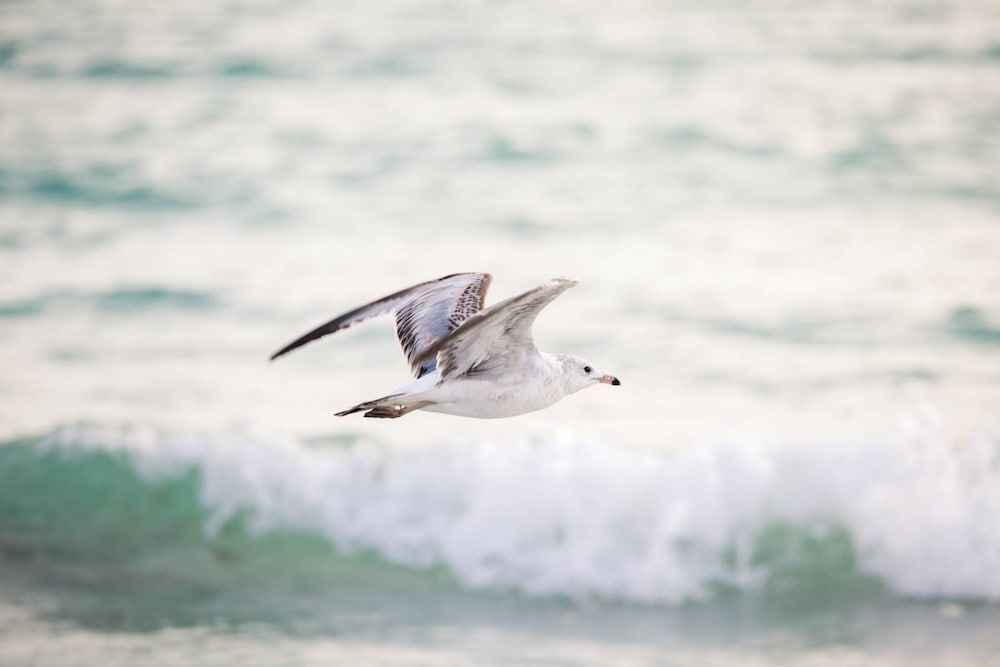 Mahogany Run Condo — 4-Star Luxury Hotel in Sarasota, United States