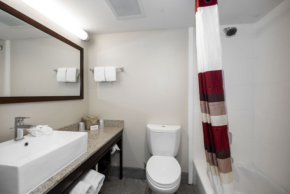 Red Roof Inn PLUS Tuscaloosa University - photo 4