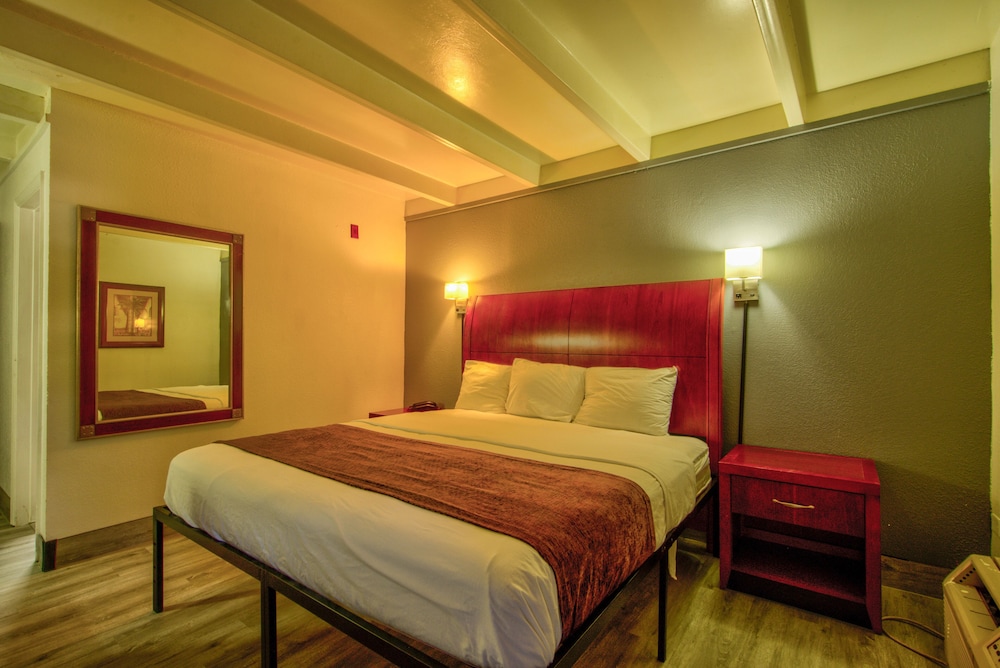 Clearwater Hotel - photo 11