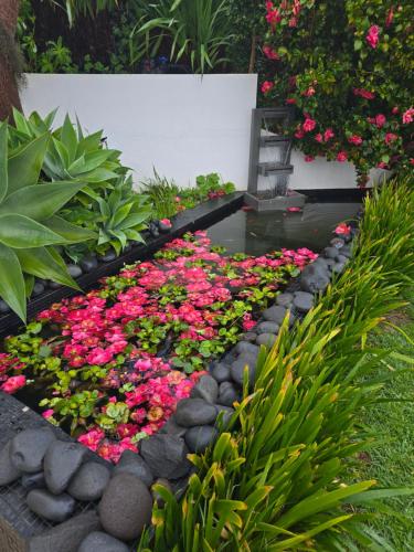 Horizon Retreat - last minute hotel in Calheta
