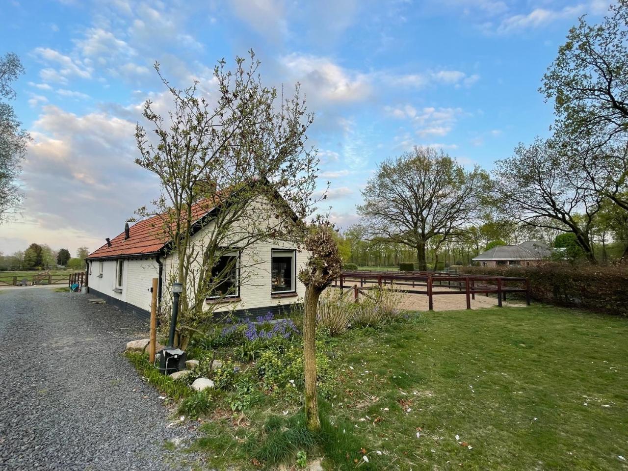 Tiny House Veluwse Garre — 4-Star Luxury Hotel in Garderen, Netherlands