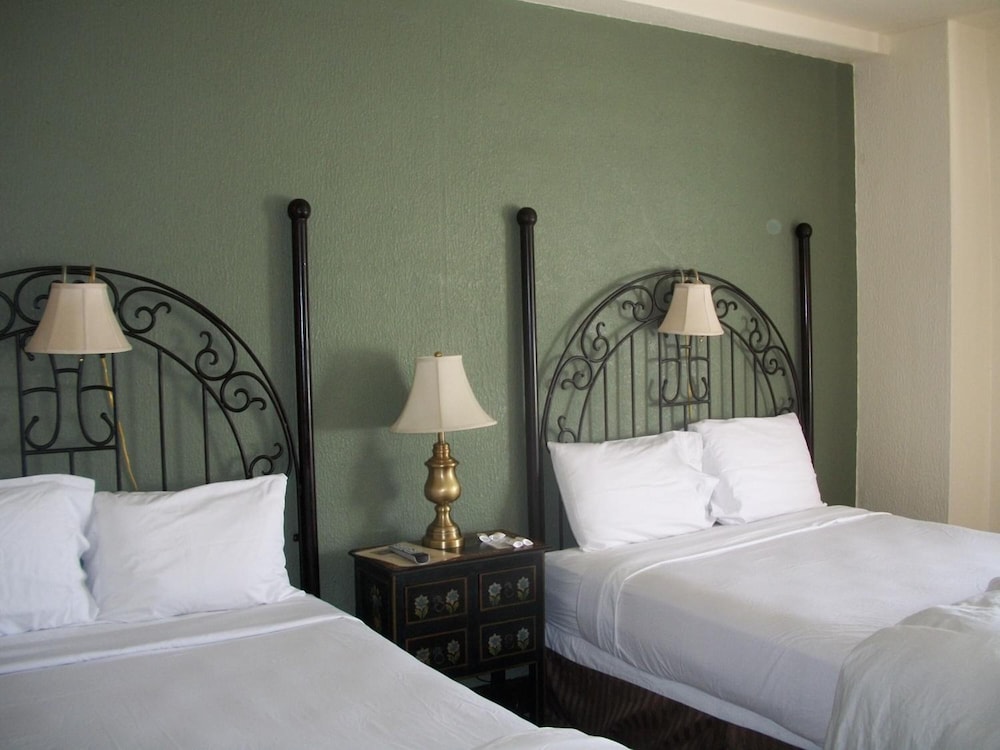 The Holland Hotel - photo 14
