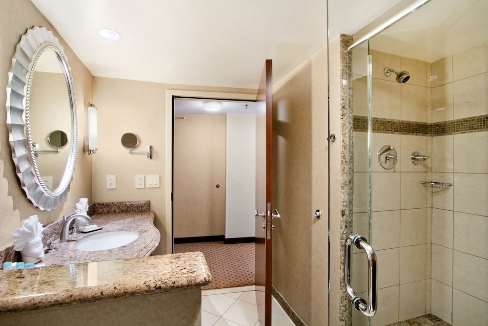 DoubleTree by Hilton Washington Dulles Airport - photo 20