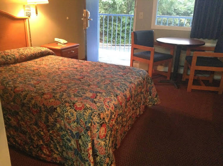 Inn Between The Hedges - photo 4