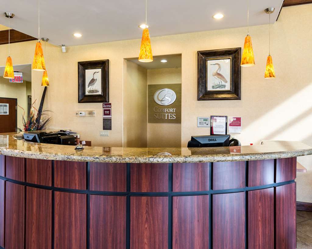 Comfort Suites near NASA Clear Lake - photo 7