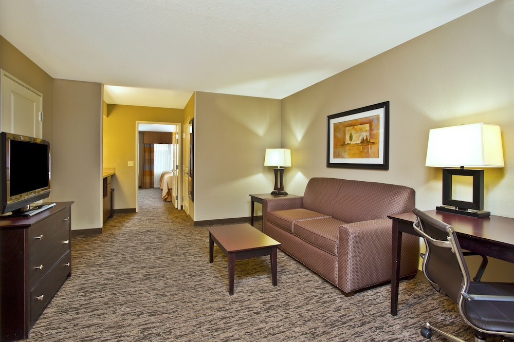 Holiday Inn & Suites Green Bay Stadium by IHG - photo 10