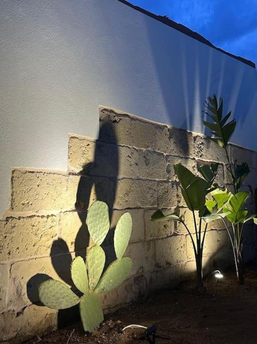 Giardino la Grotta in Ruffano, Italy