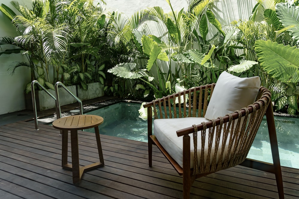 Sunny Cuddles in Canggu, Indonesia