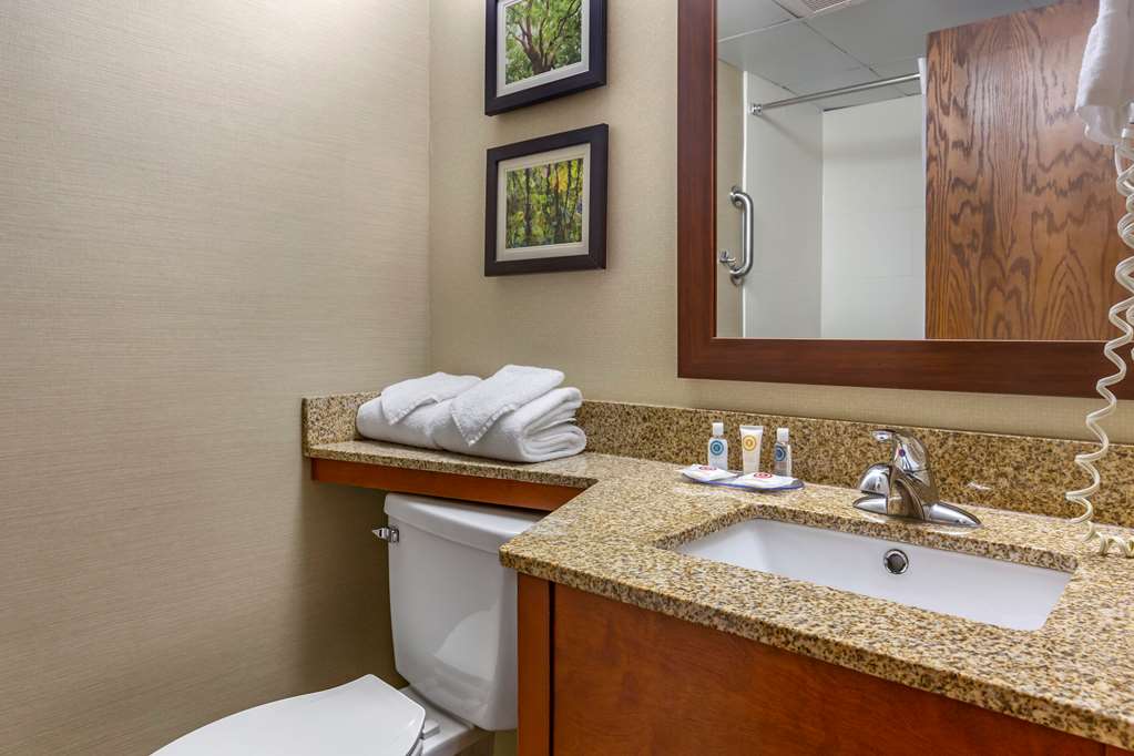 Comfort Inn & Suites near Danville Mall - photo 14