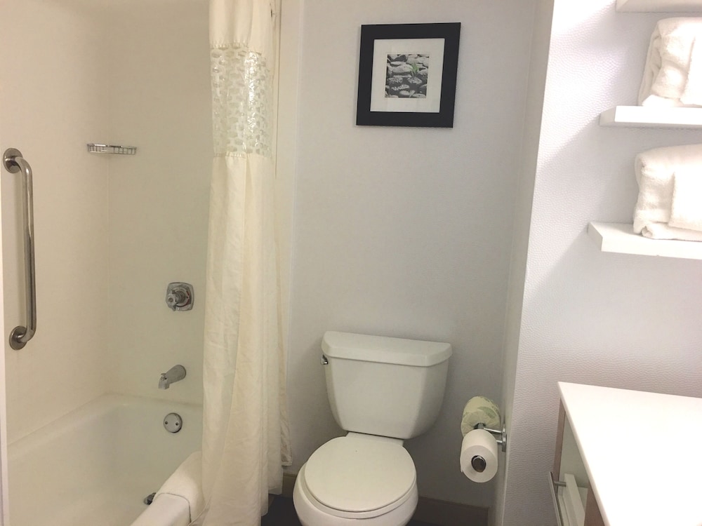 Hampton Inn Sevierville - photo 20