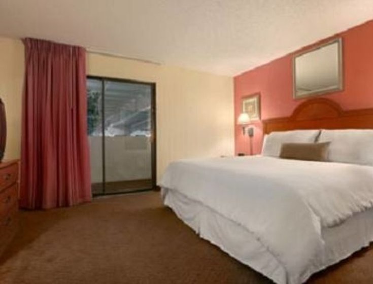 Plaza Hotel and Suites - photo 5