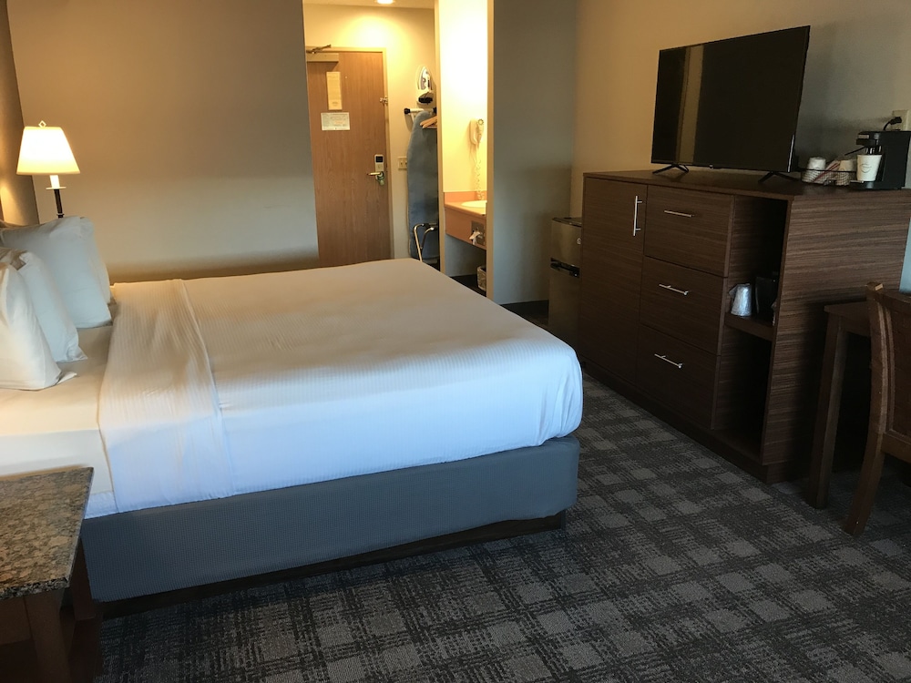 Best Western North I 25 Hotel - photo 9