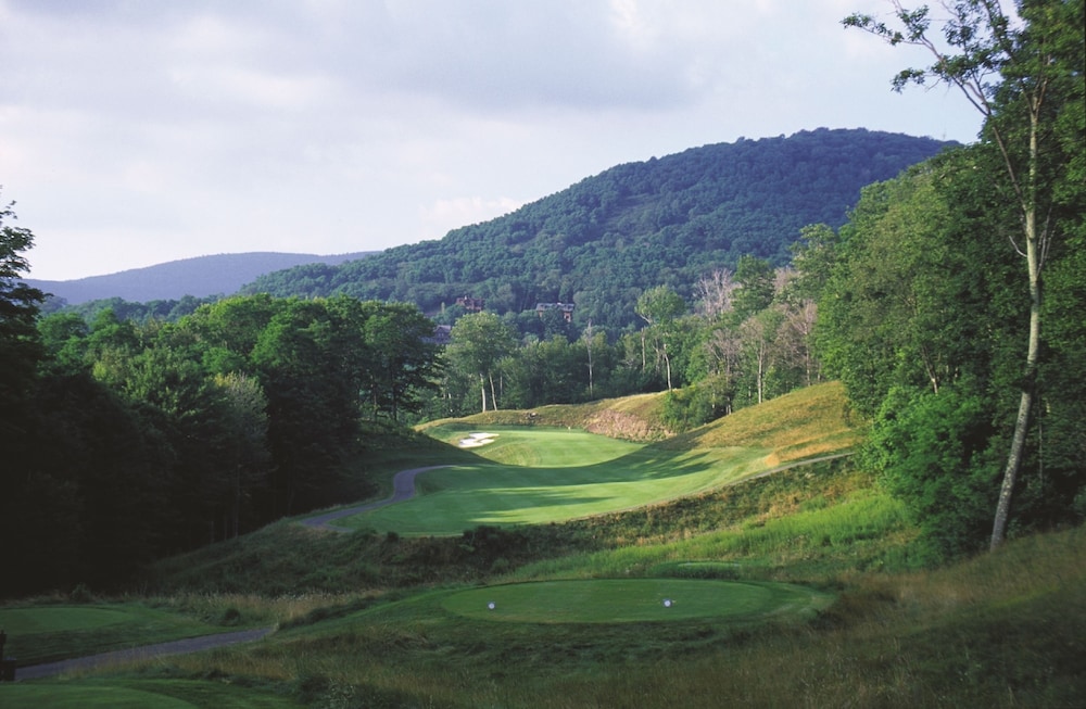 The Inn at Snowshoe - photo 15