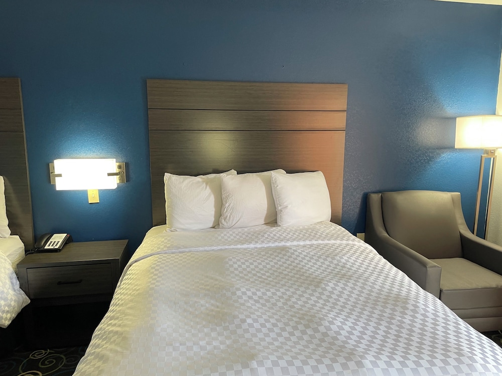 Clairmont Inn & Suites Warren - photo 15