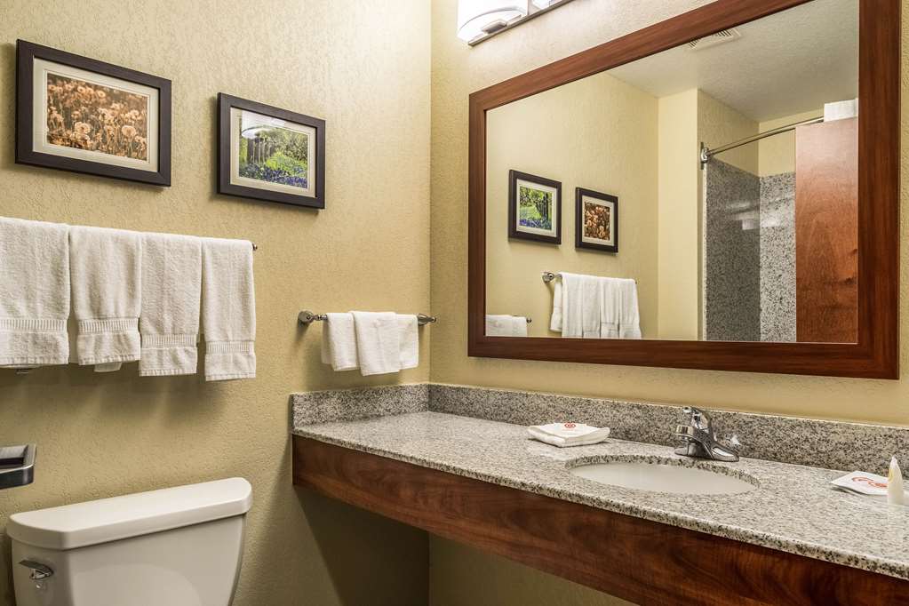 Comfort Suites Near Texas State University - photo 19