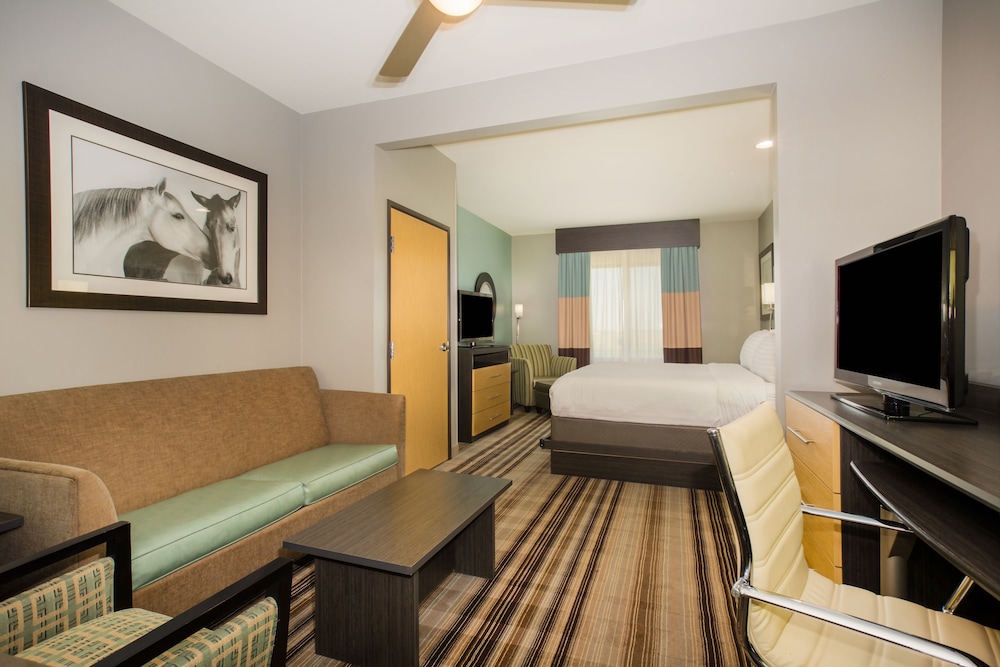 Holiday Inn Express & Suites Amarillo West an IHG Hotel - photo 3