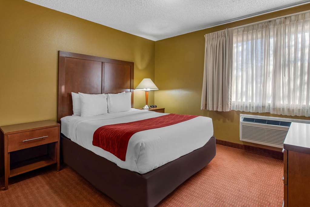 Comfort Inn Denver Southeast Area - photo 18