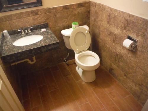 Budgetel Inn & Suites Hotel - photo 13