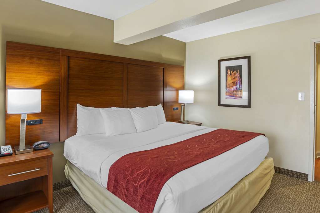 Comfort Suites At Virginia Center Commons - photo 27