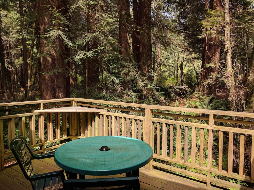 Emerald Forest Cabins - photo 5