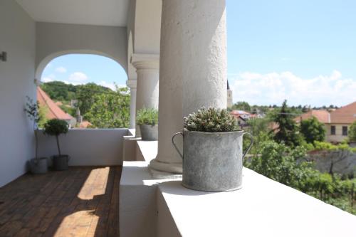 Csodarabbik Útja Fogadó in Mad, Hungary