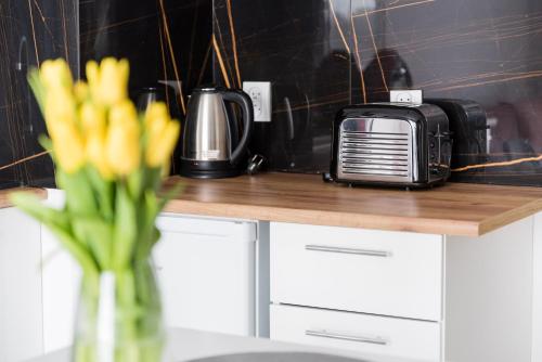 Apartament Hania — 4-Star Luxury Hotel in Gdansk, Poland