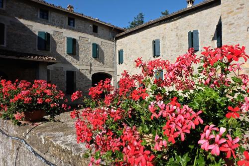 B&B Cortebonomini apartment — 4-Star Luxury Hotel in Neviano Degli Arduini, Italy