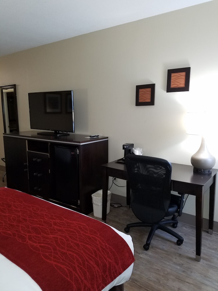 Comfort Inn North of Asheville - photo 18