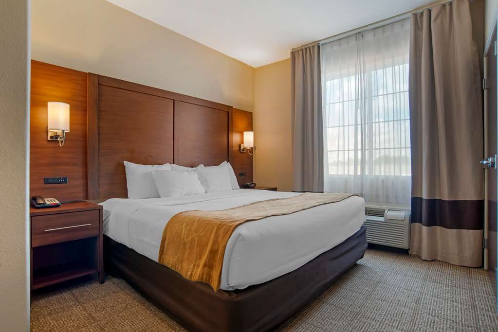 Comfort Suites Alexandria North - photo 9