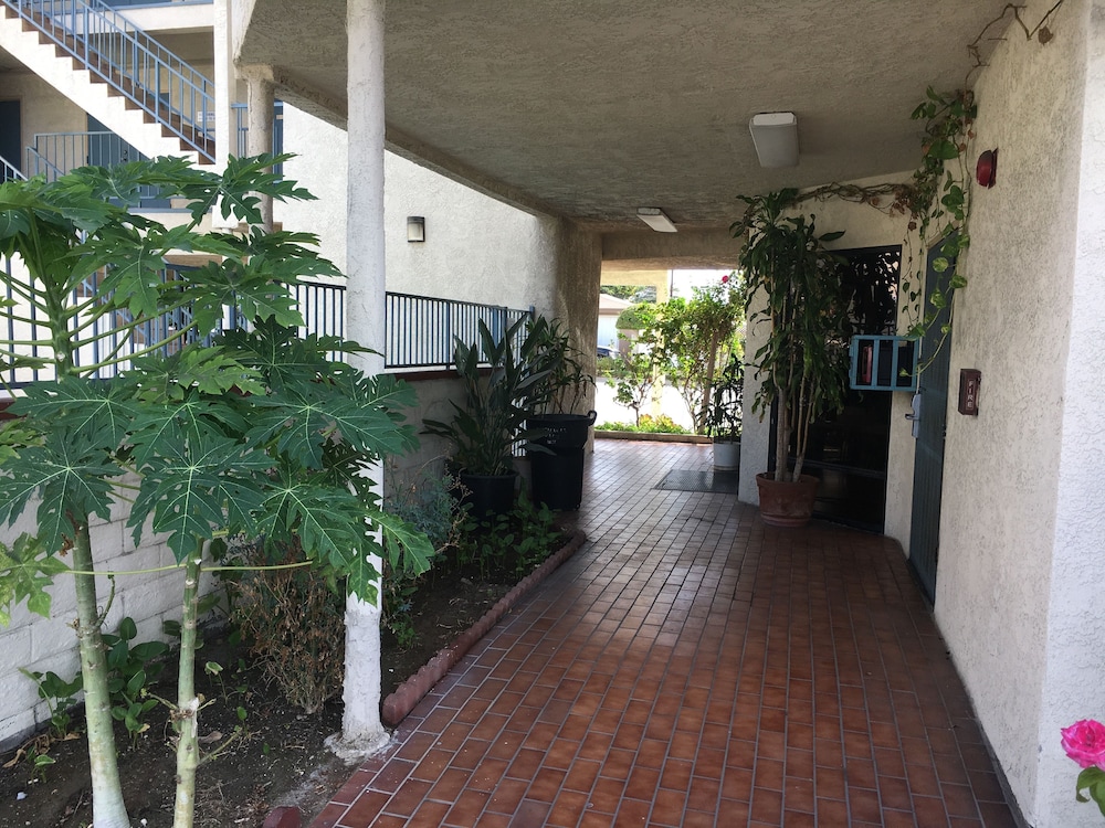Bellflower Travel Inn - photo 51