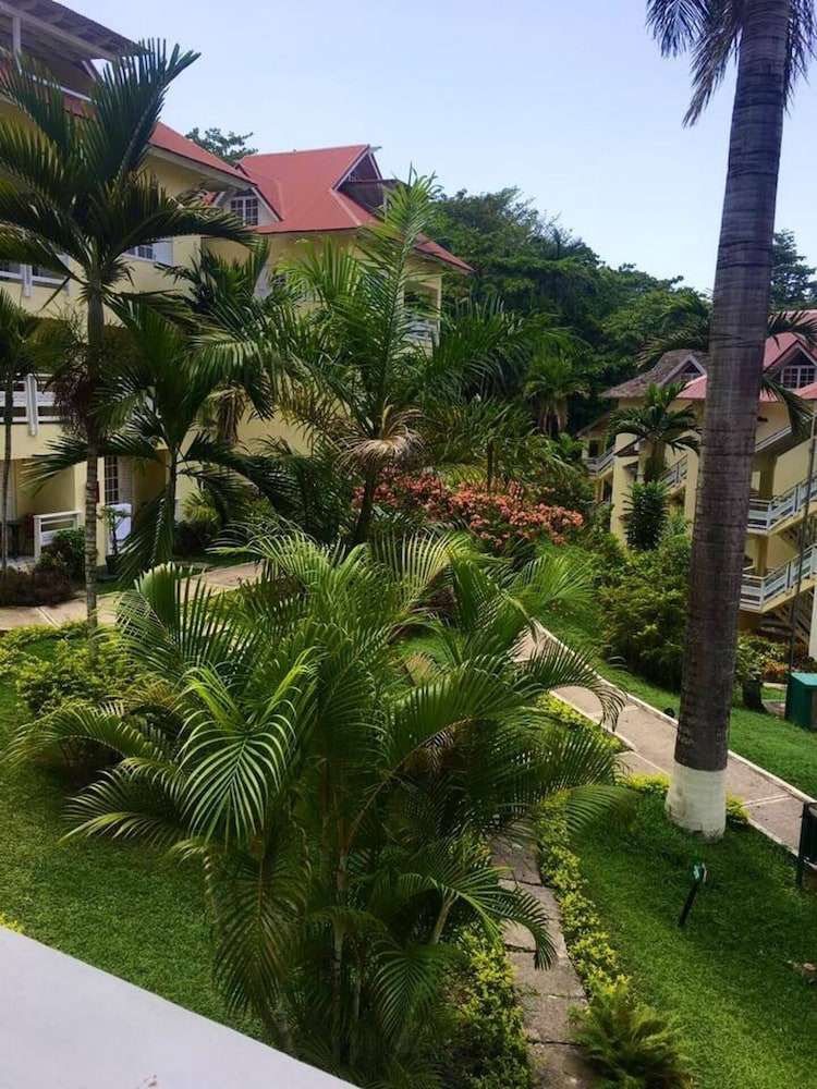 Endless Summer Brookside — Ocho Rios — photo 3
