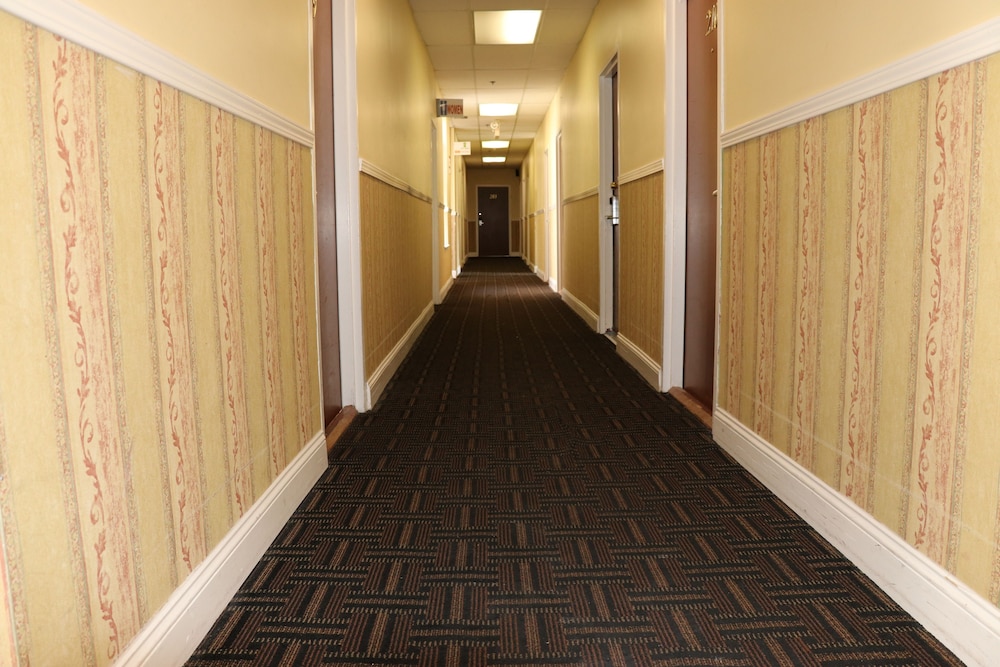 Europa Hotel - photo 57