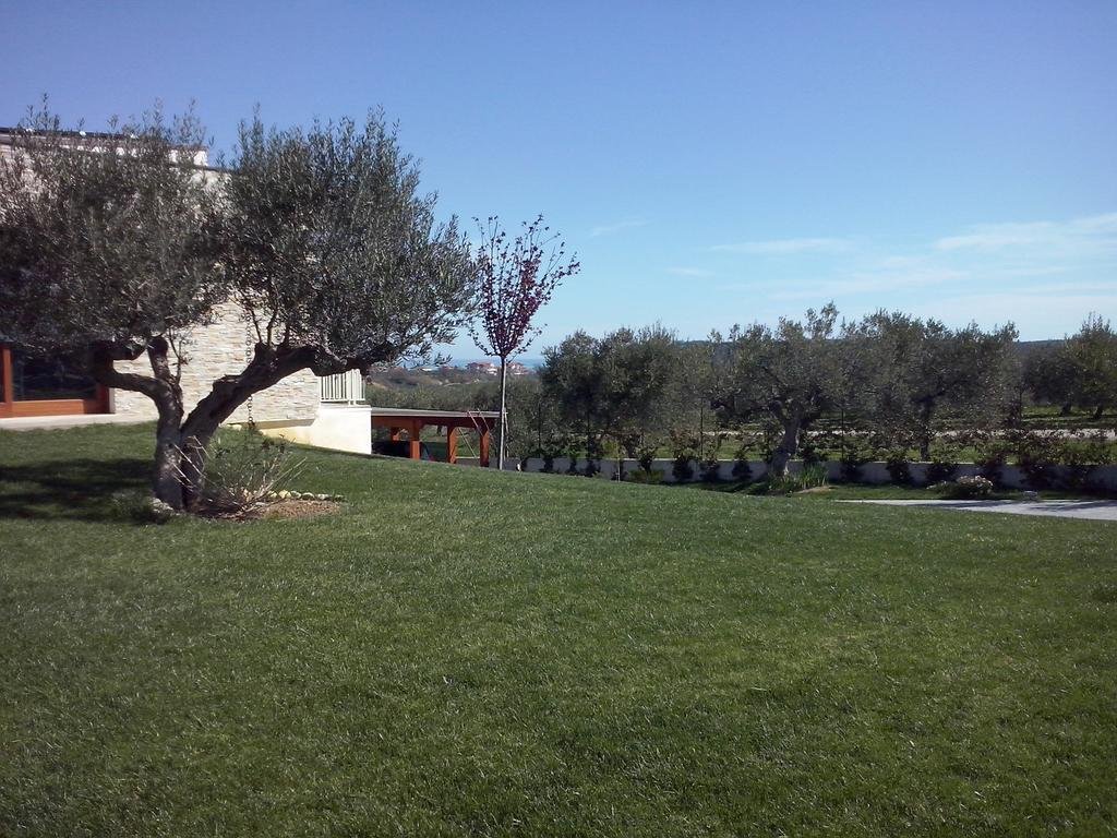 Gioia In Collina — Torrevecchia — photo 4