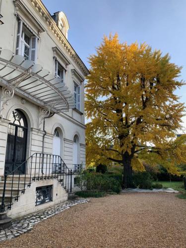 A L’abri du Ginkgo in Tours, France