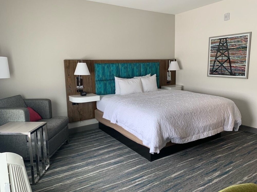 Hampton Inn Monahans - photo 9